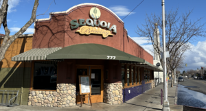sequoia brewing
